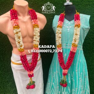 Kadapa Collection
