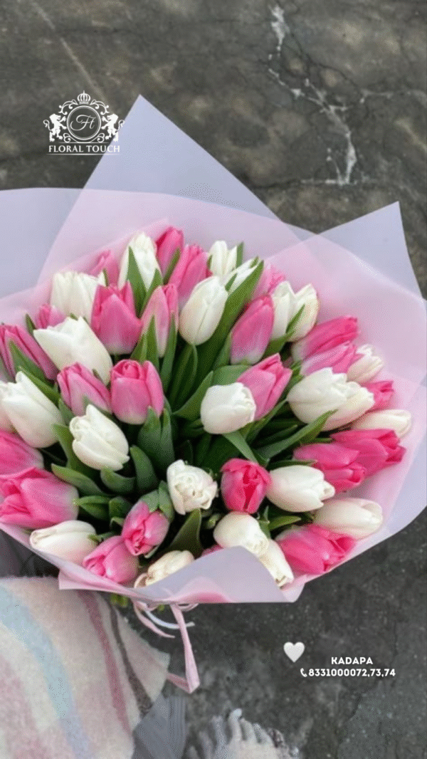Elegant Pink and White Tulip Bouquet – Fresh Seasonal Tulips Wrapped with Care - Image 2